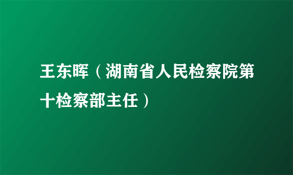 王东晖（湖南省人民检察院第十检察部主任）