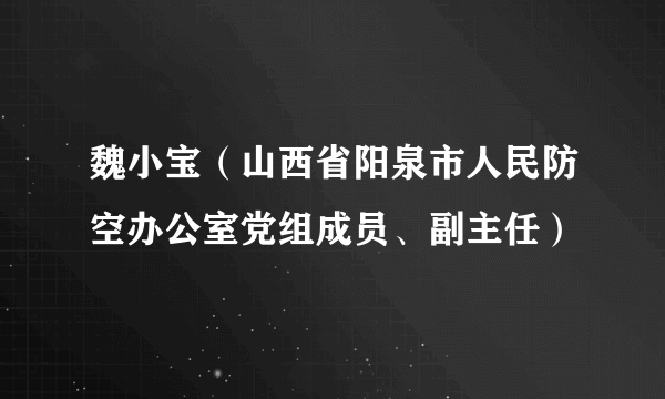 魏小宝（山西省阳泉市人民防空办公室党组成员、副主任）