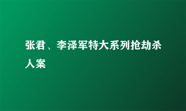 张君、李泽军特大系列抢劫杀人案