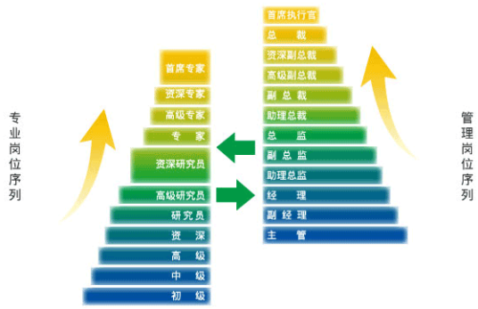 人才培养模式