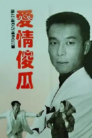 爱情傻瓜（1993年陈国星导演电影）