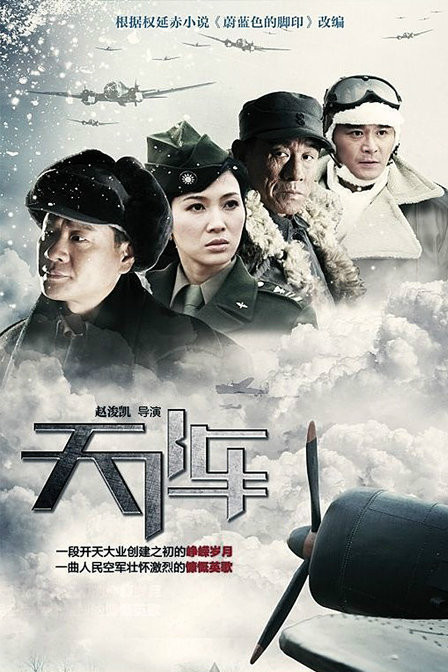 天阵（2010年连奕名、童蕾主演的电视剧）