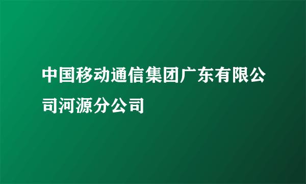 中国移动通信集团广东有限公司河源分公司