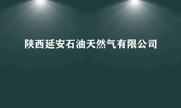 陕西延安石油天然气有限公司