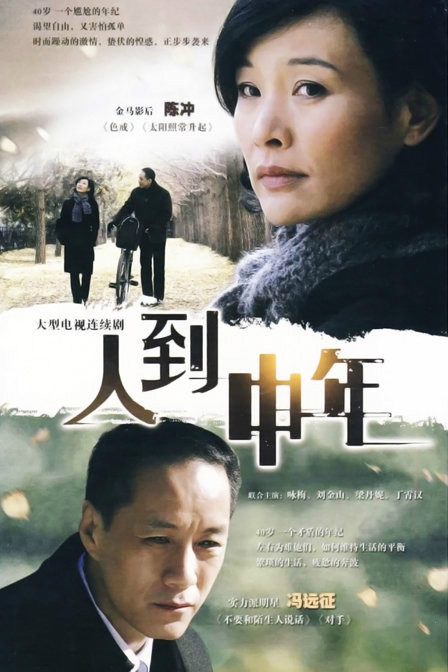 人到中年（2009年斗琪导演大陆电视剧）