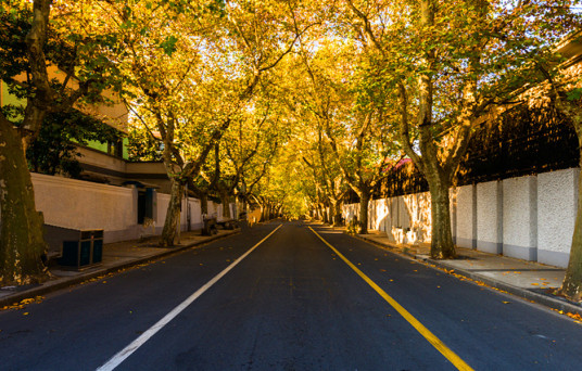 泰康路（上海市黄浦区泰康路）