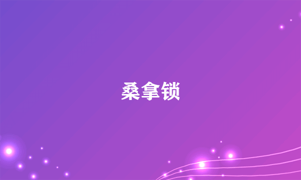 桑拿锁