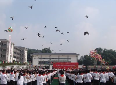 石梅小学