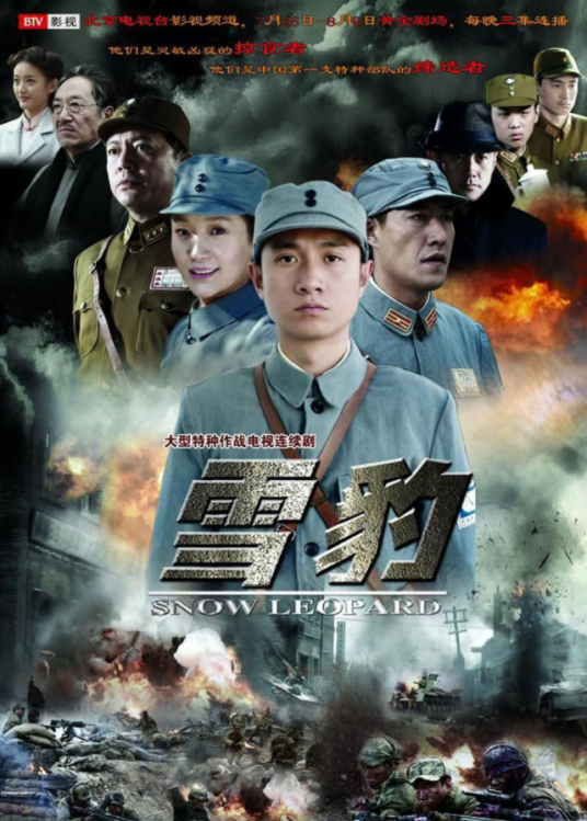 雪豹（2010年文章主演的电视剧）