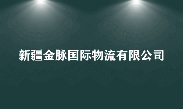 新疆金脉国际物流有限公司