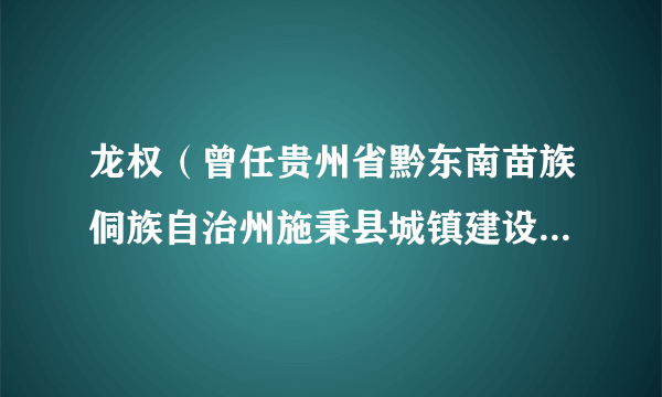 龙权（曾任贵州省黔东南苗族侗族自治州施秉县城镇建设投资开发（集团）有限公司原总经理）