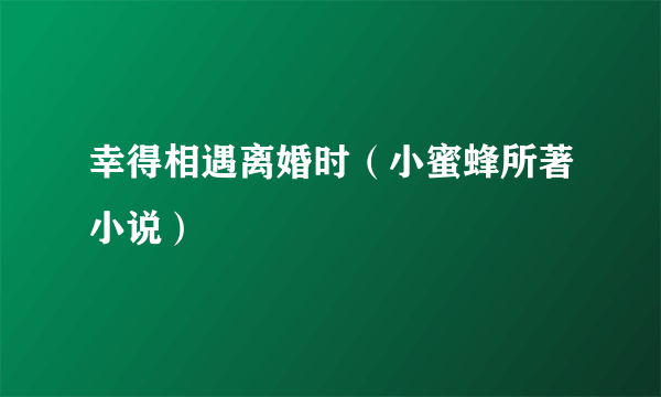 幸得相遇离婚时（小蜜蜂所著小说）