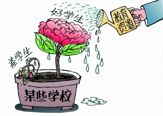 因材施教原则