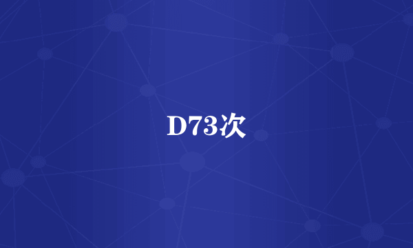 D73次