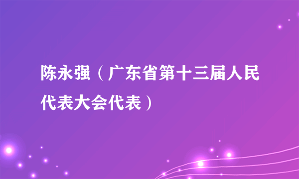 陈永强（广东省第十三届人民代表大会代表）