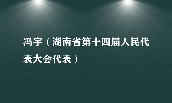 冯宇（湖南省第十四届人民代表大会代表）