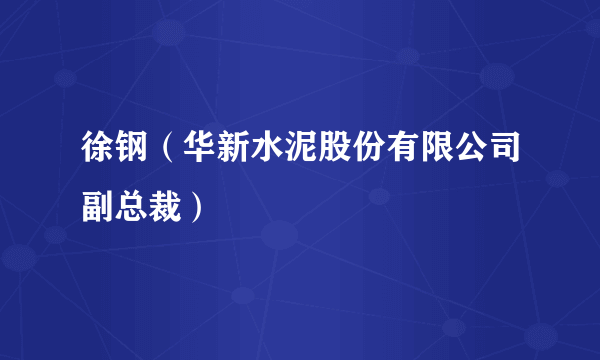 徐钢（华新水泥股份有限公司副总裁）