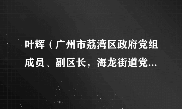 叶辉（广州市荔湾区政府党组成员、副区长，海龙街道党工委书记）