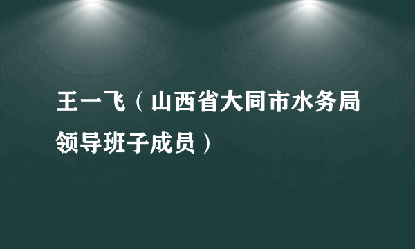 王一飞（山西省大同市水务局领导班子成员）