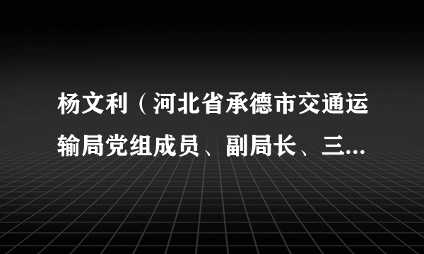 杨文利（河北省承德市交通运输局党组成员、副局长、三级调研员）