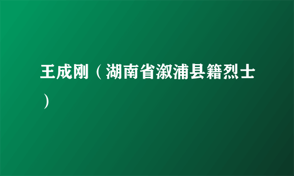 王成刚（湖南省溆浦县籍烈士）