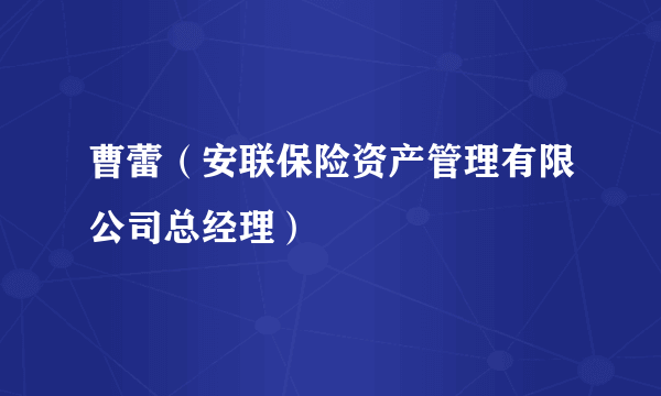 曹蕾（安联保险资产管理有限公司总经理）