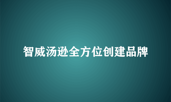 智威汤逊全方位创建品牌