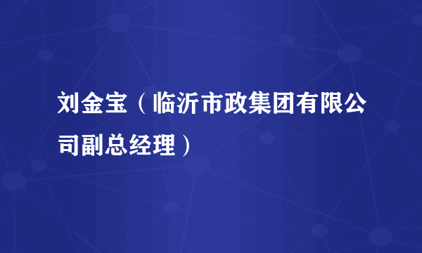 刘金宝（临沂市政集团有限公司副总经理）