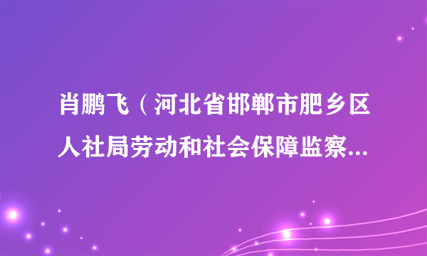 肖鹏飞（河北省邯郸市肥乡区人社局劳动和社会保障监察大队大队长）