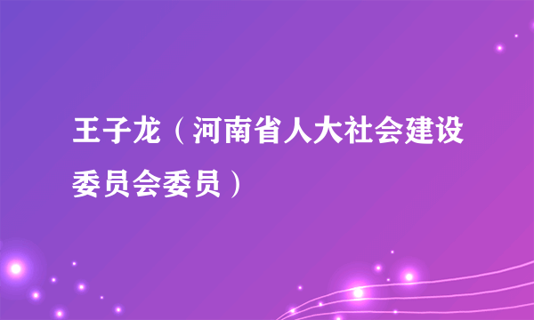 王子龙（河南省人大社会建设委员会委员）