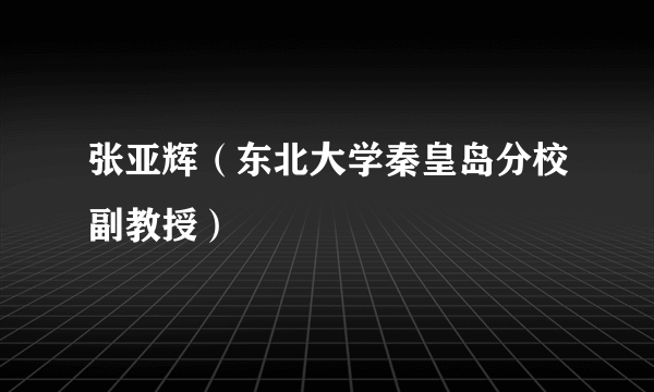 张亚辉（东北大学秦皇岛分校副教授）