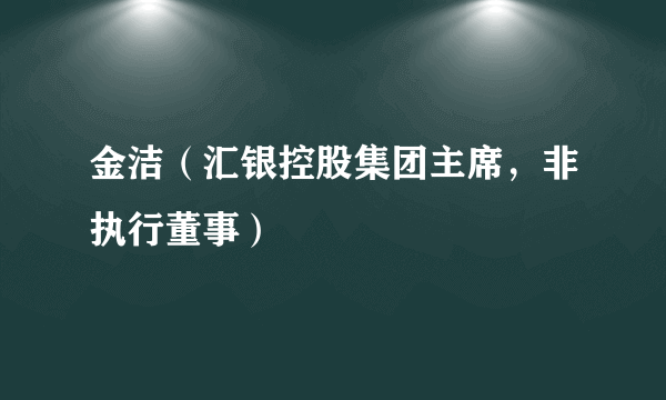 金洁（汇银控股集团主席，非执行董事）