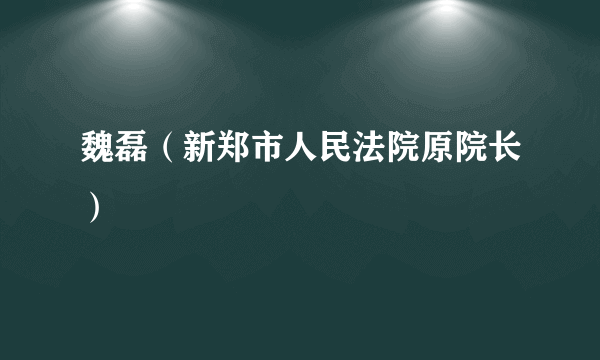 魏磊（新郑市人民法院原院长）