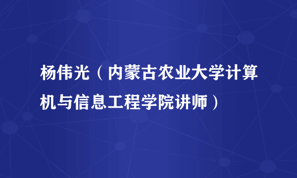 杨伟光（内蒙古农业大学计算机与信息工程学院讲师）