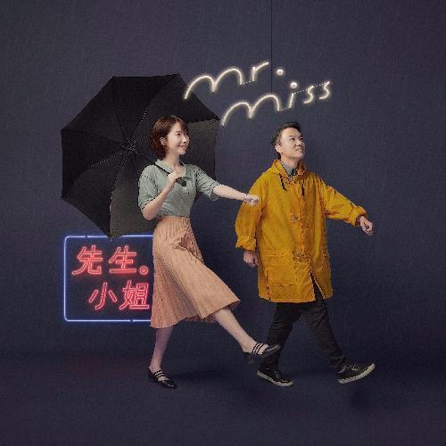 因为是你（Mr. Miss《先生小姐》专辑中的歌曲）