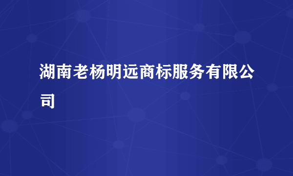 湖南老杨明远商标服务有限公司