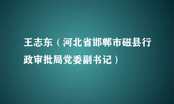 王志东（河北省邯郸市磁县行政审批局党委副书记）