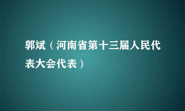 郭斌（河南省第十三届人民代表大会代表）