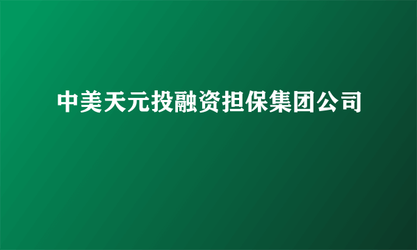 中美天元投融资担保集团公司