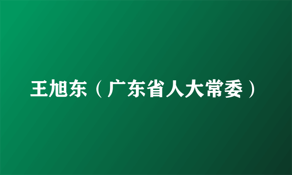 王旭东（广东省人大常委）