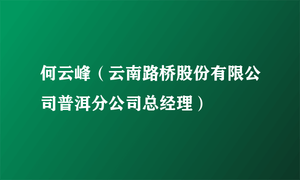 何云峰（云南路桥股份有限公司普洱分公司总经理）