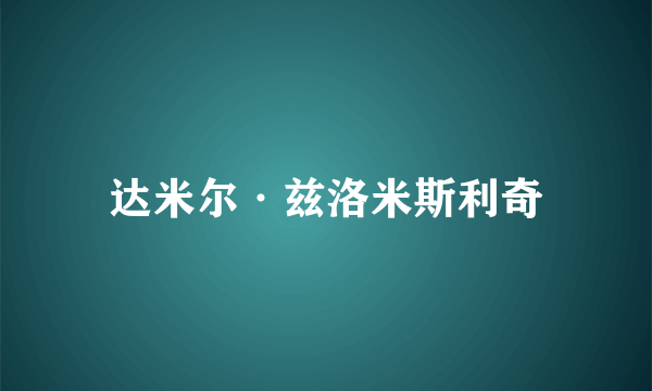 达米尔·兹洛米斯利奇