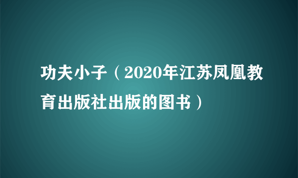 功夫小子（2020年江苏凤凰教育出版社出版的图书）