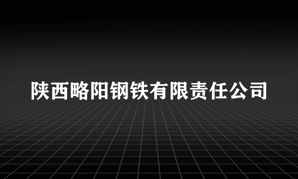 陕西略阳钢铁有限责任公司