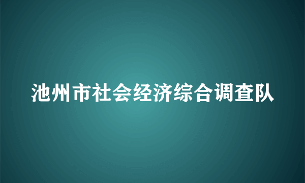 池州市社会经济综合调查队