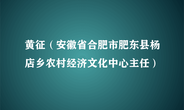 黄征（安徽省合肥市肥东县杨店乡农村经济文化中心主任）