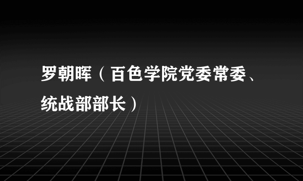 罗朝晖（百色学院党委常委、统战部部长）