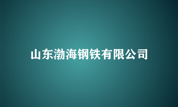 山东渤海钢铁有限公司