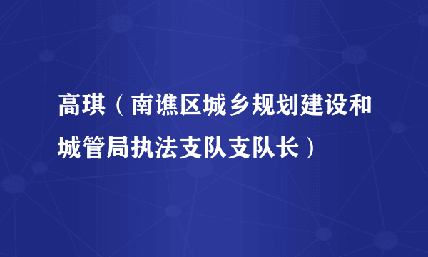 高琪（南谯区城乡规划建设和城管局执法支队支队长）