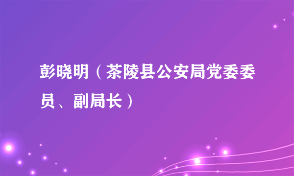 彭晓明（茶陵县公安局党委委员、副局长）